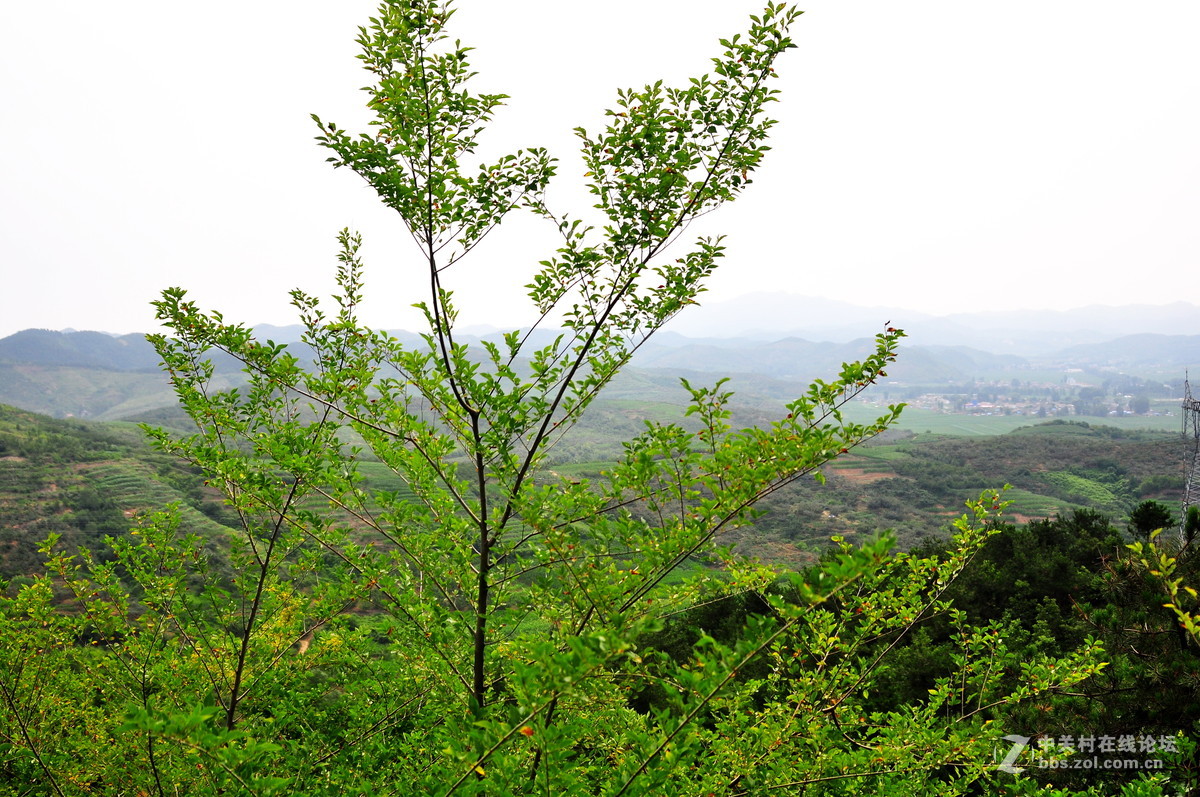 游大石桥三道岭水库