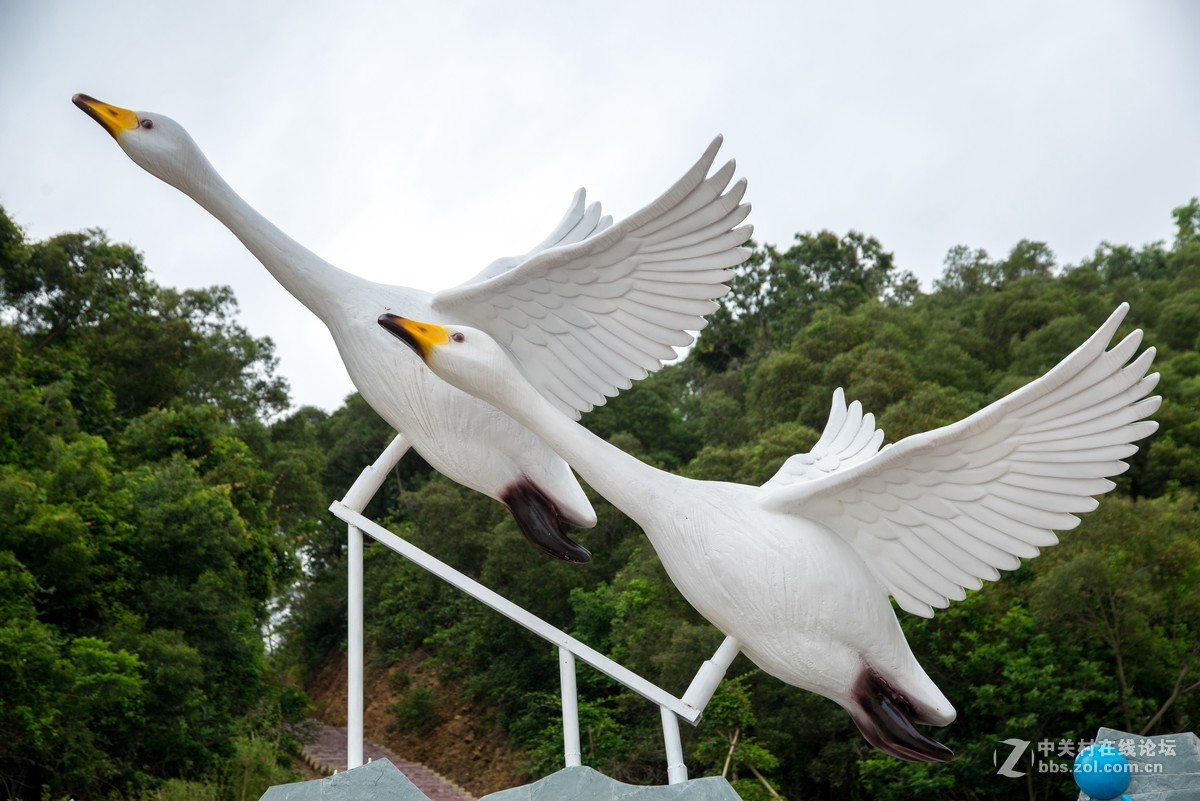 广东阳江海边游玩
