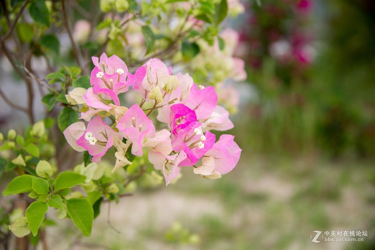 广东阳江海边游玩