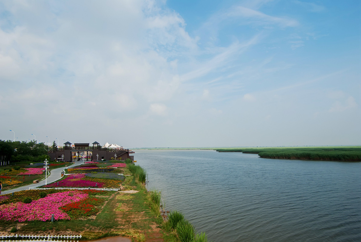 天津七里海湿地公园游记