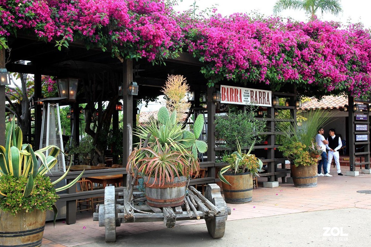 加州 圣地亚哥老城 1