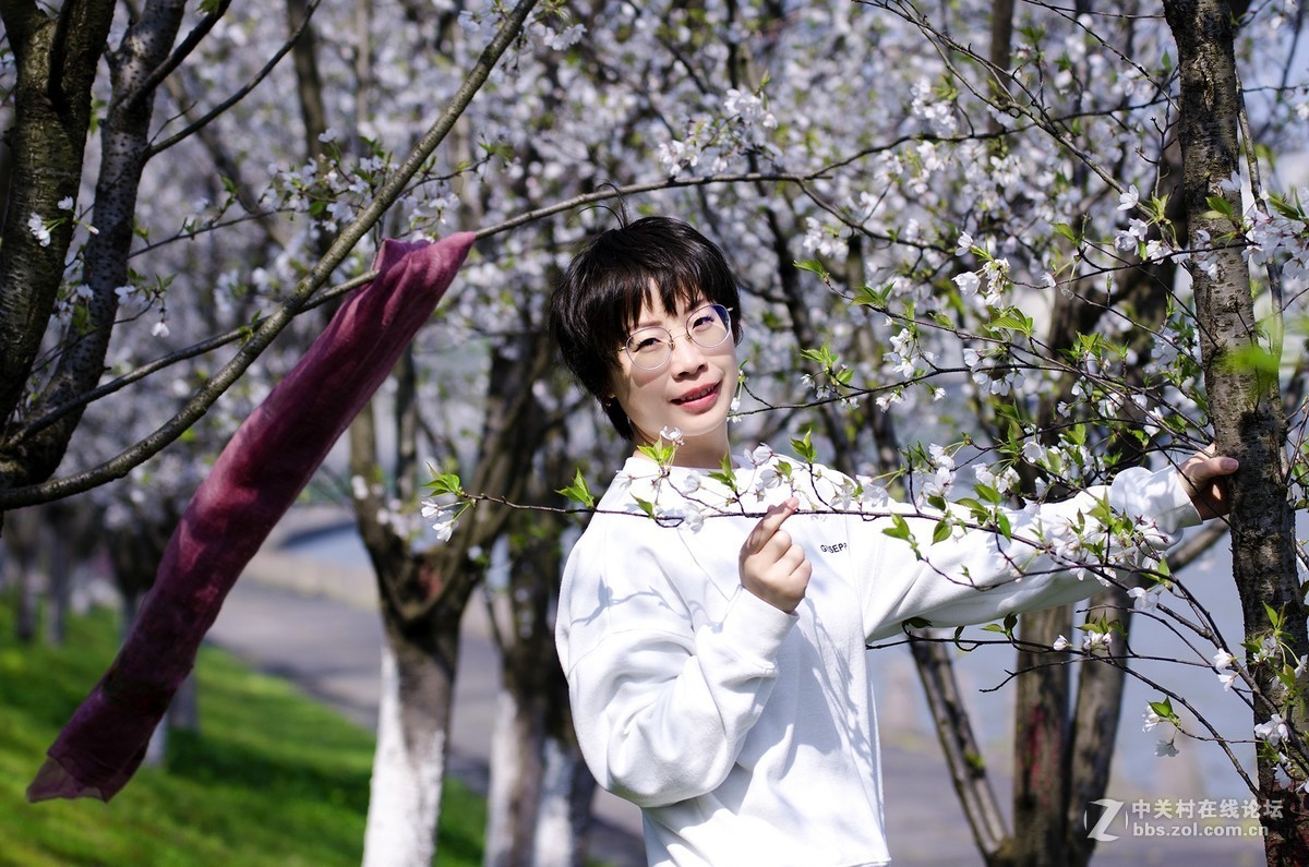 春花烂漫映伊人