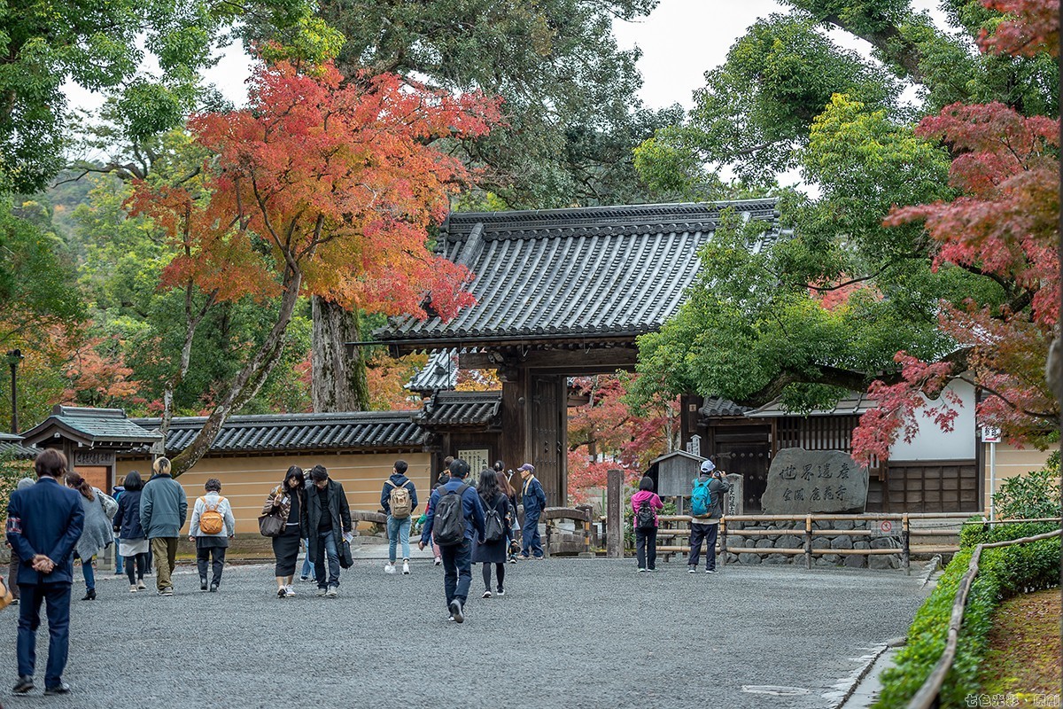 枫叶狩1——鹿苑寺、天满宫