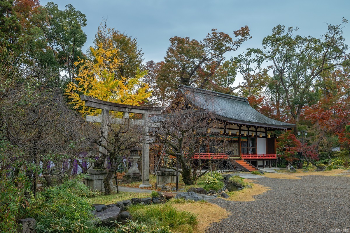 枫叶狩1——鹿苑寺、天满宫
