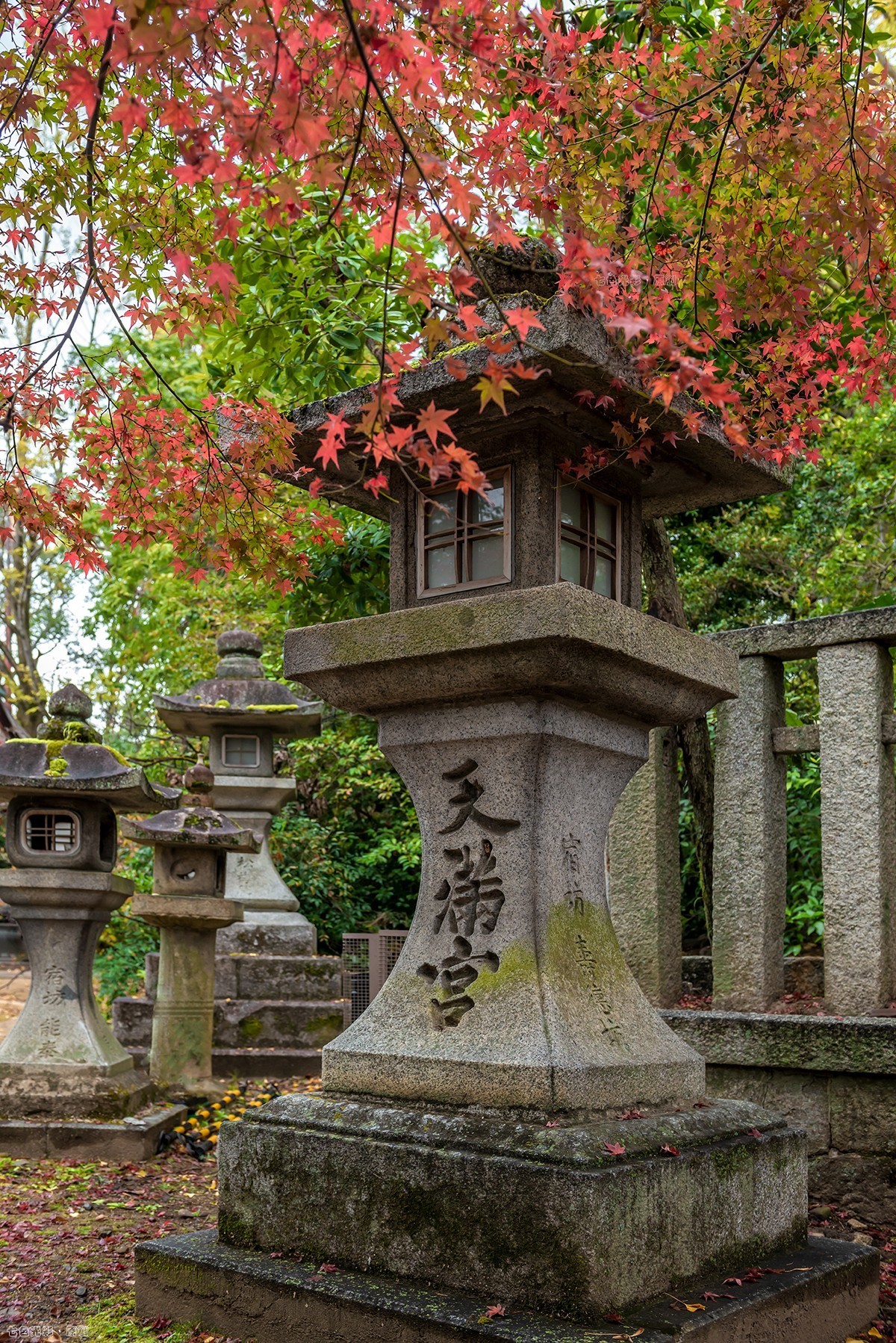 枫叶狩1——鹿苑寺、天满宫