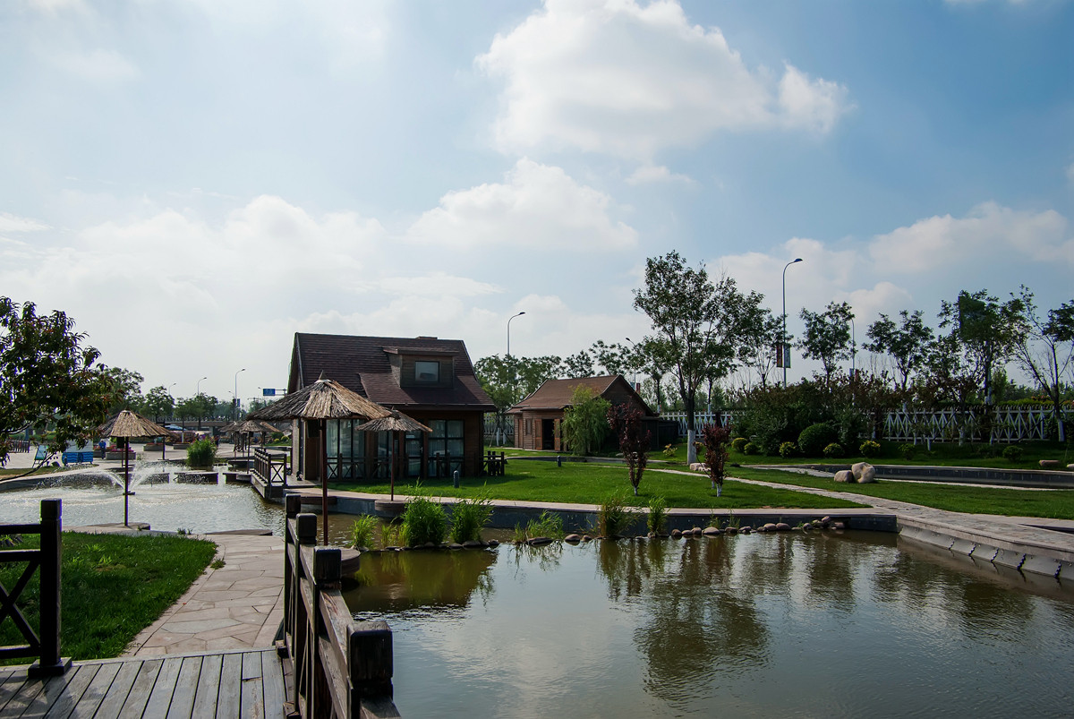 天津七里海湿地公园游记