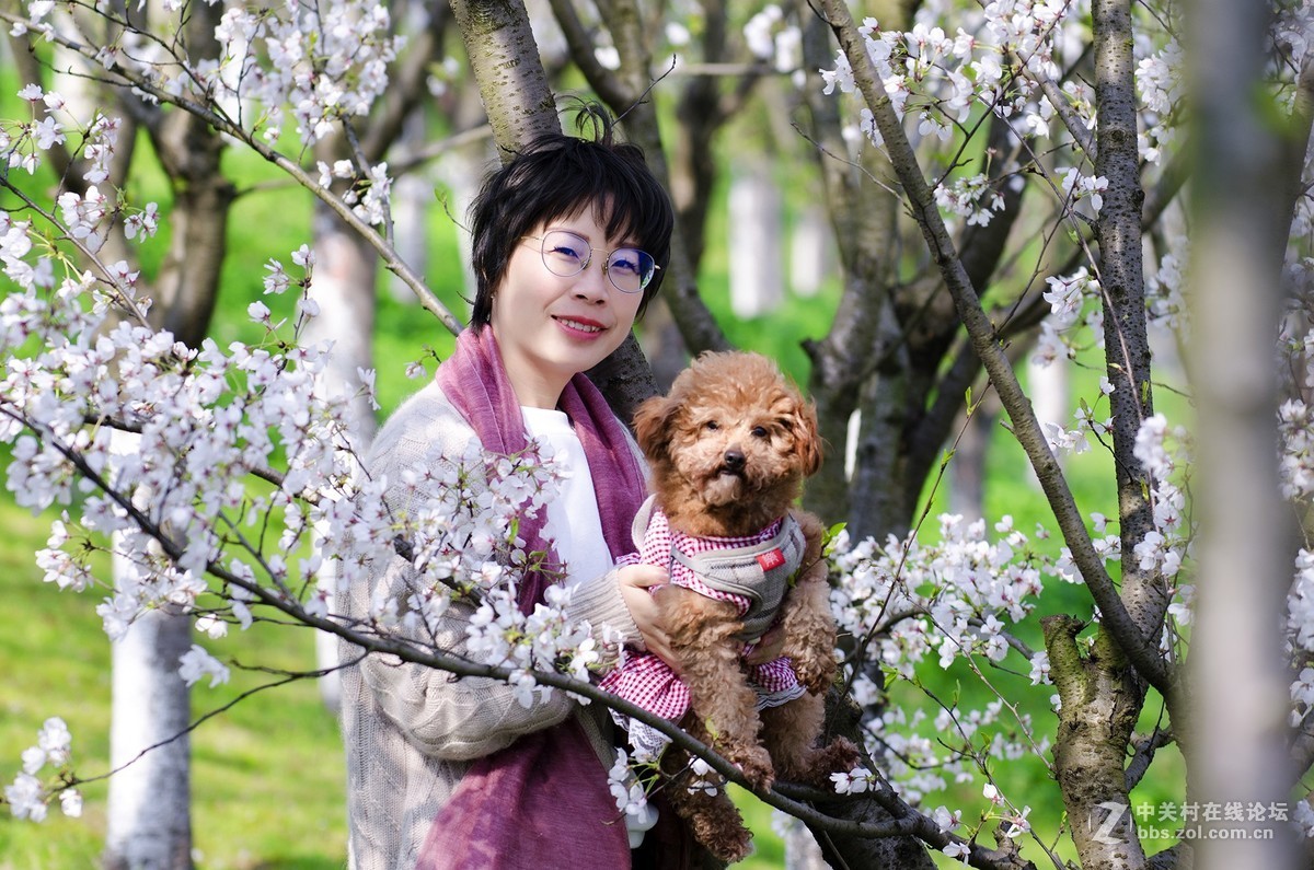 春花烂漫映伊人