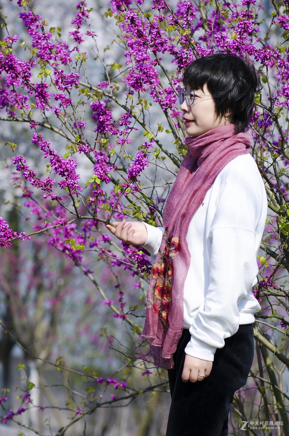 春花烂漫映伊人