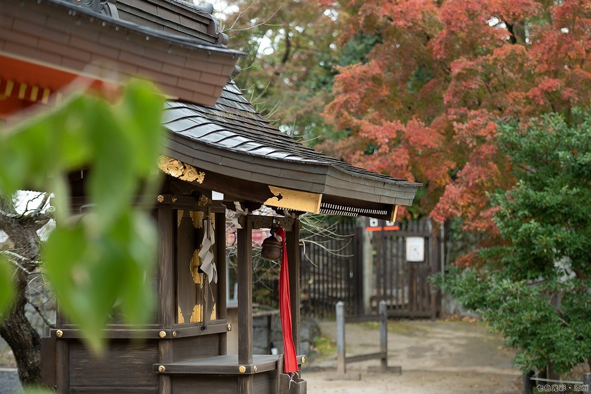 枫叶狩1——鹿苑寺、天满宫