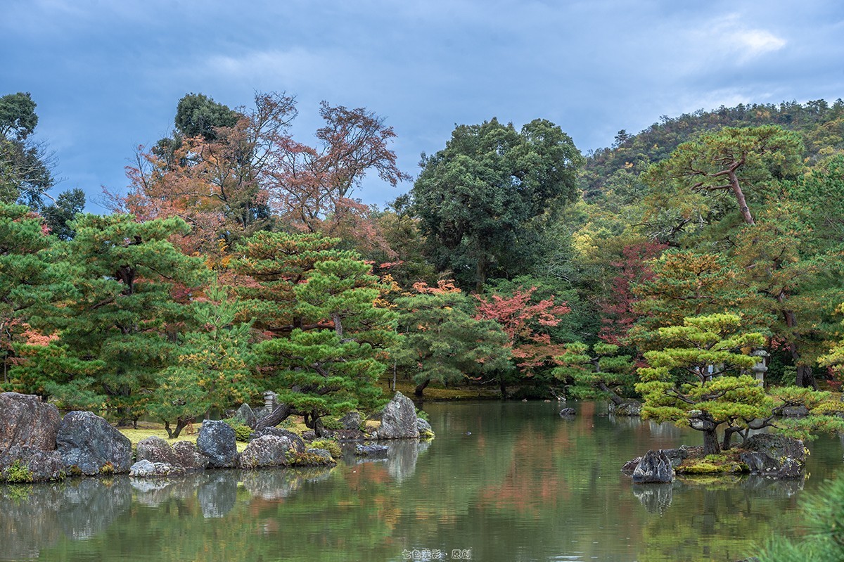 枫叶狩1——鹿苑寺、天满宫