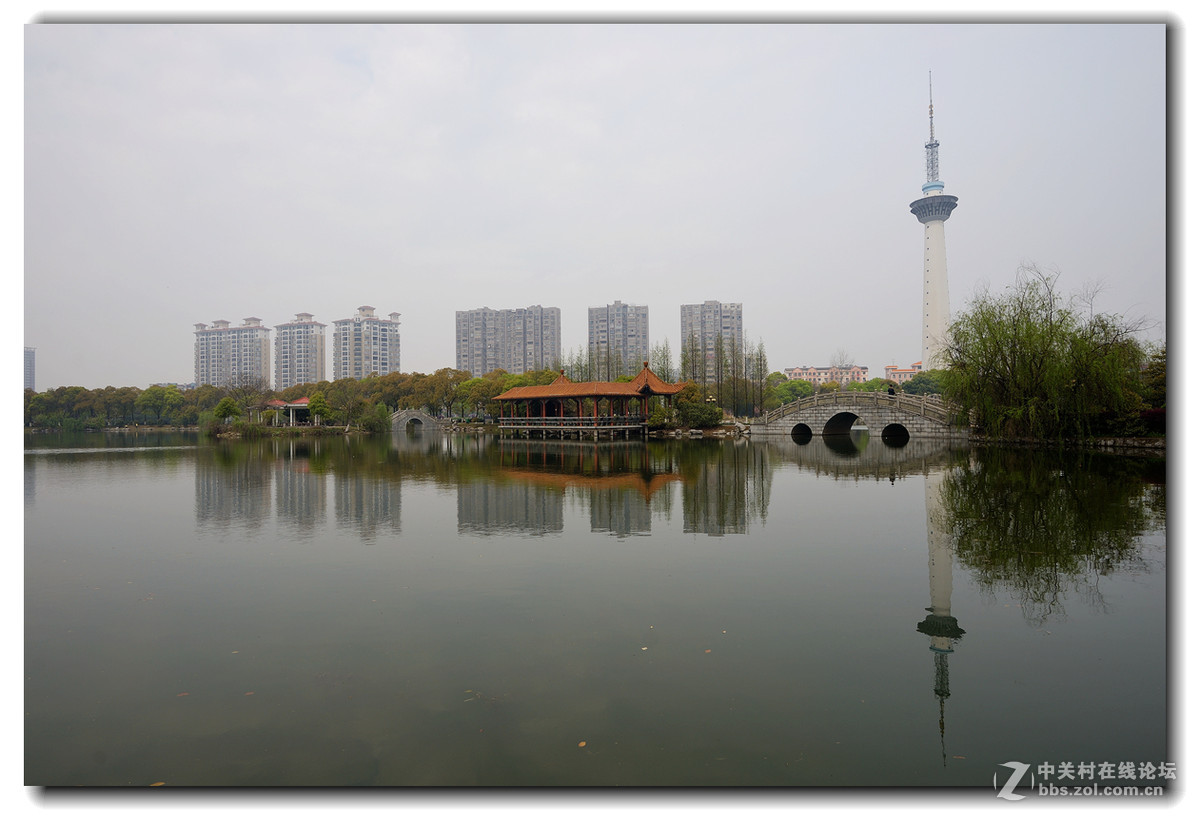 湖边小景