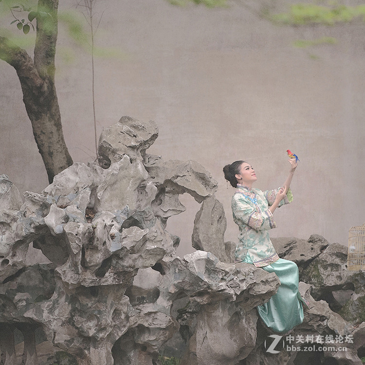 烟雨江南之-----微寒