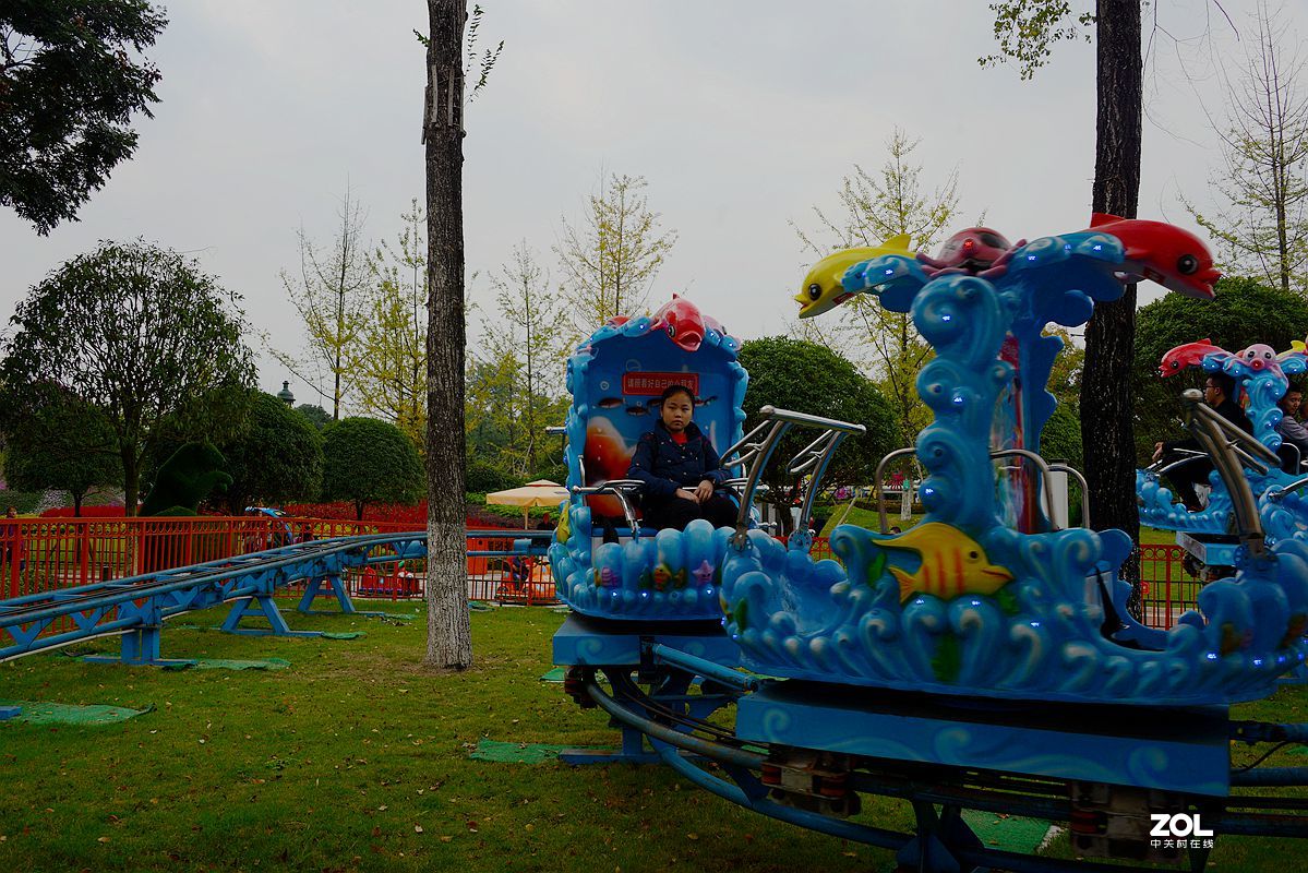 成都温江7国色天香20161029