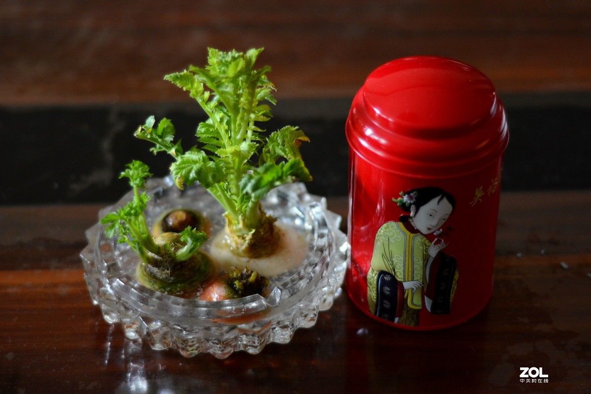 茶几上物品拍几样