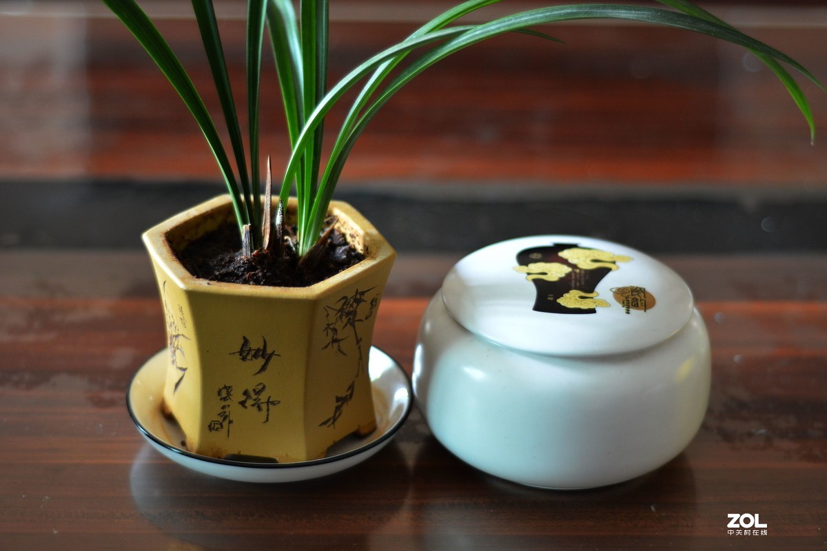 茶几上物品拍几样