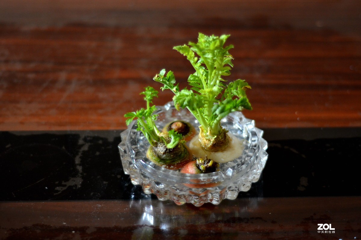 茶几上物品拍几样