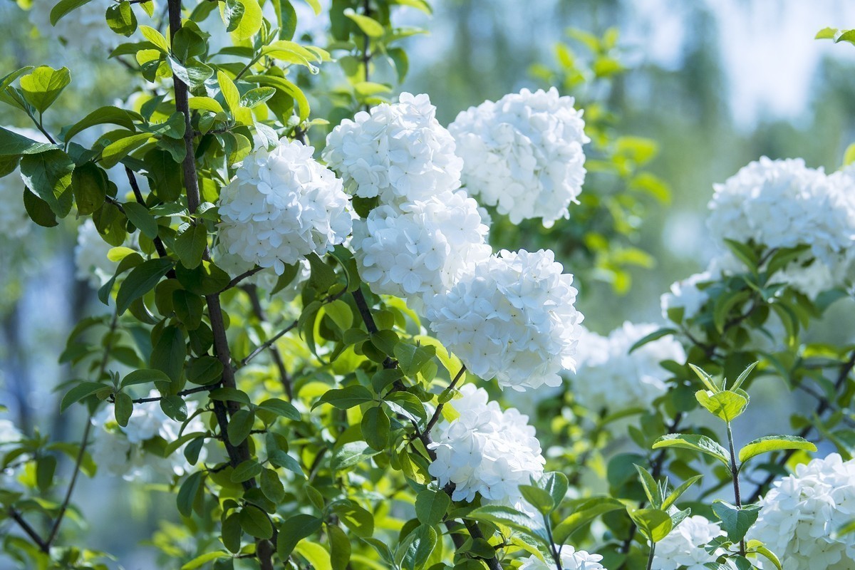 河边的木绣%……新手作品，请批评指正。谢谢