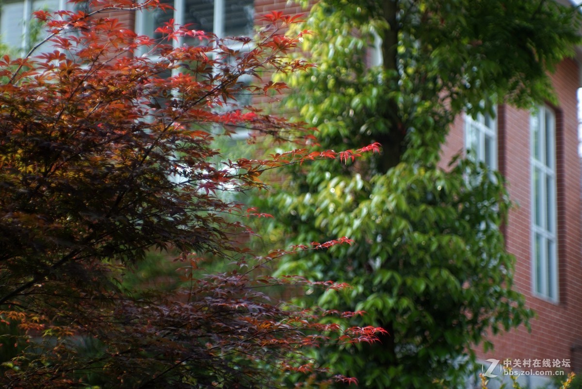 红色教育之旅“长沙橘子洲头”