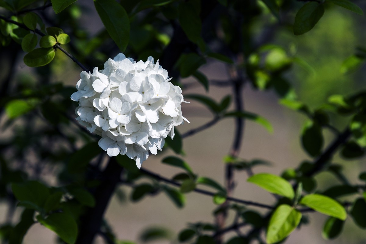 河边的木绣%……新手作品，请批评指正。谢谢