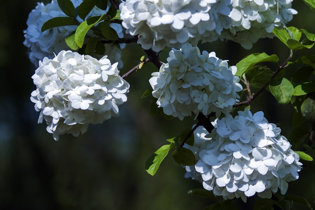 河边的木绣%……新手作品，请批评指正。谢谢