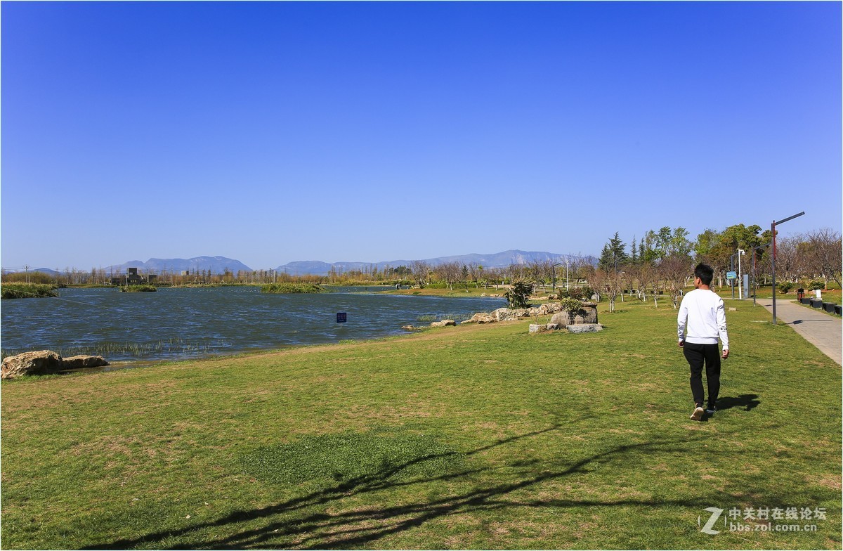 昆明斗南溼地公園