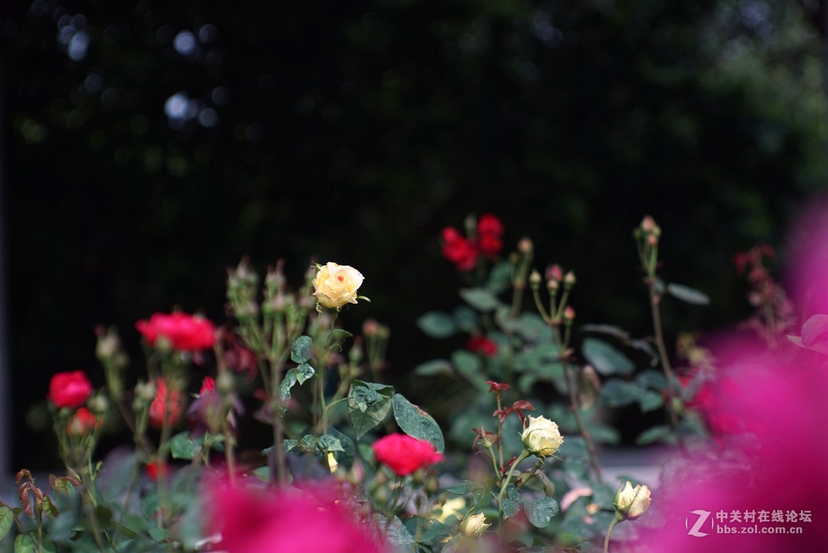 红色教育之旅“长沙橘子洲头”