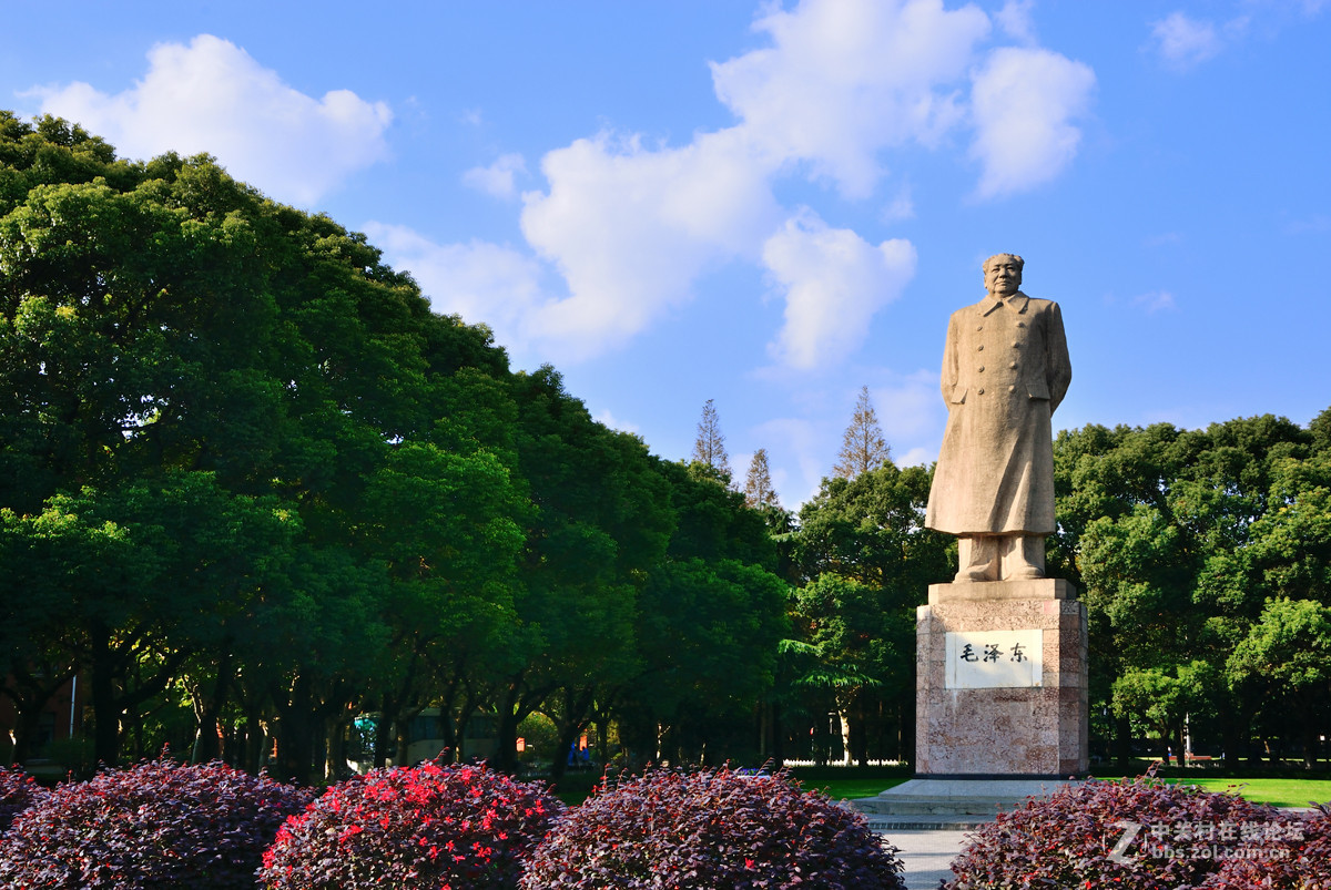 校 园 之 秋 系 列 — 上海复旦（三）
