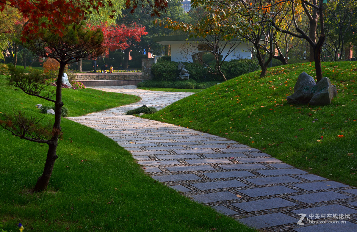 校 园 之 秋 系 列 — 上海复旦（三）