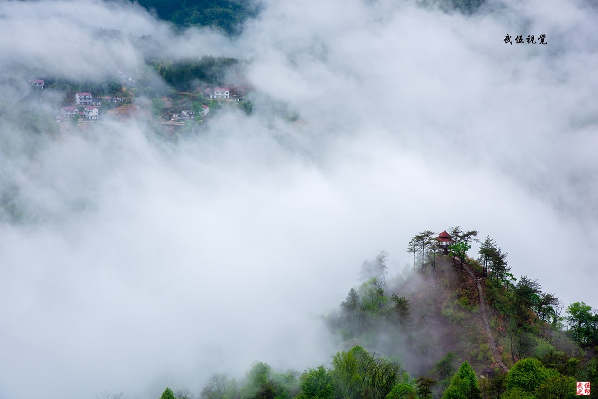 映山红开春意浓