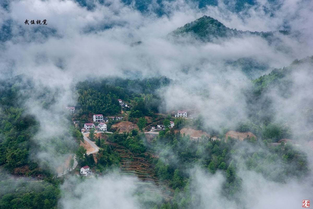 映山红开春意浓