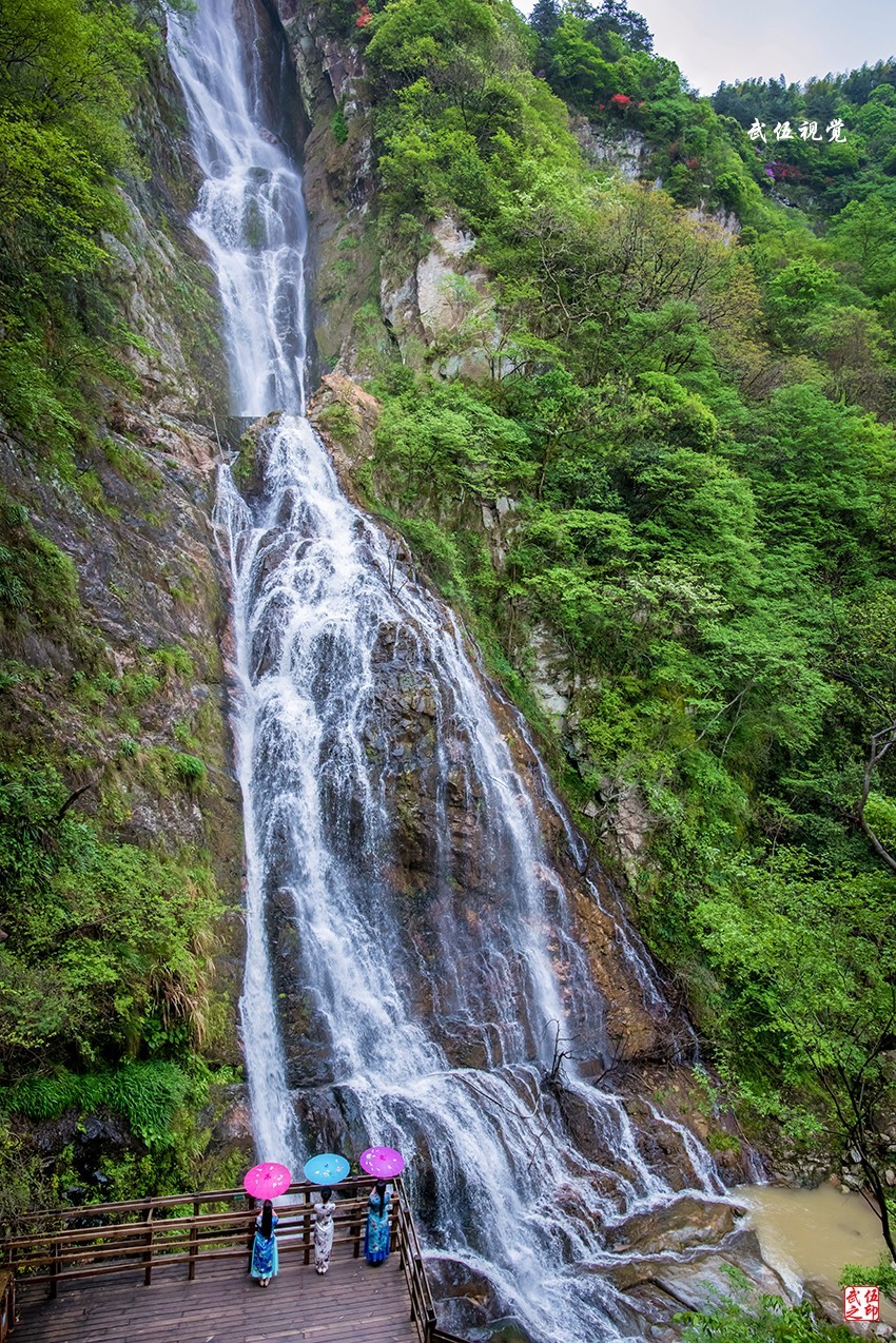 映山红开春意浓