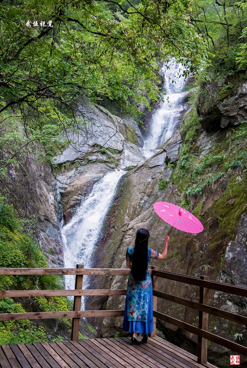 映山红开春意浓