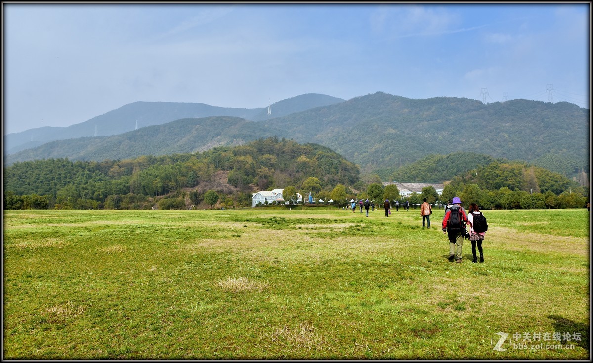 戴村沈村