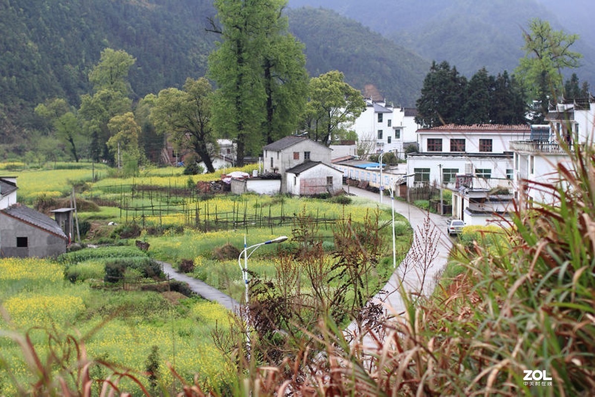 赵君武；旅游随拍