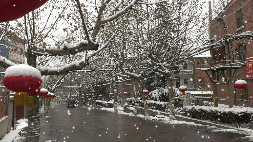 老家的雪