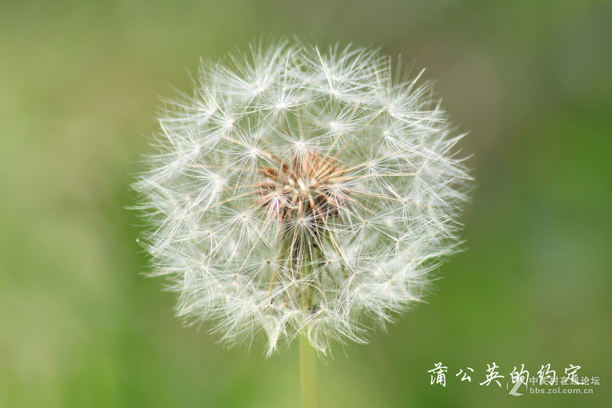 佳能600d+腾龙A17 试拍