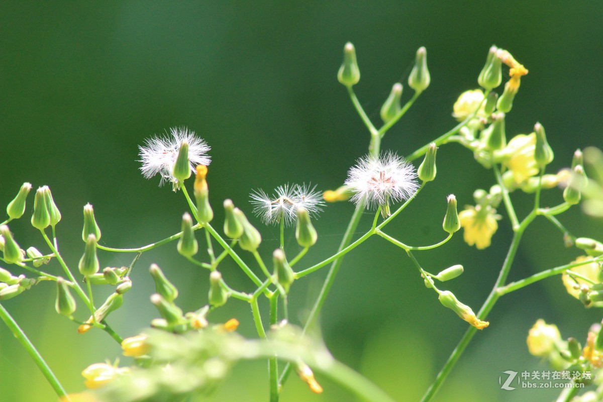 佳能600d+腾龙A17 试拍