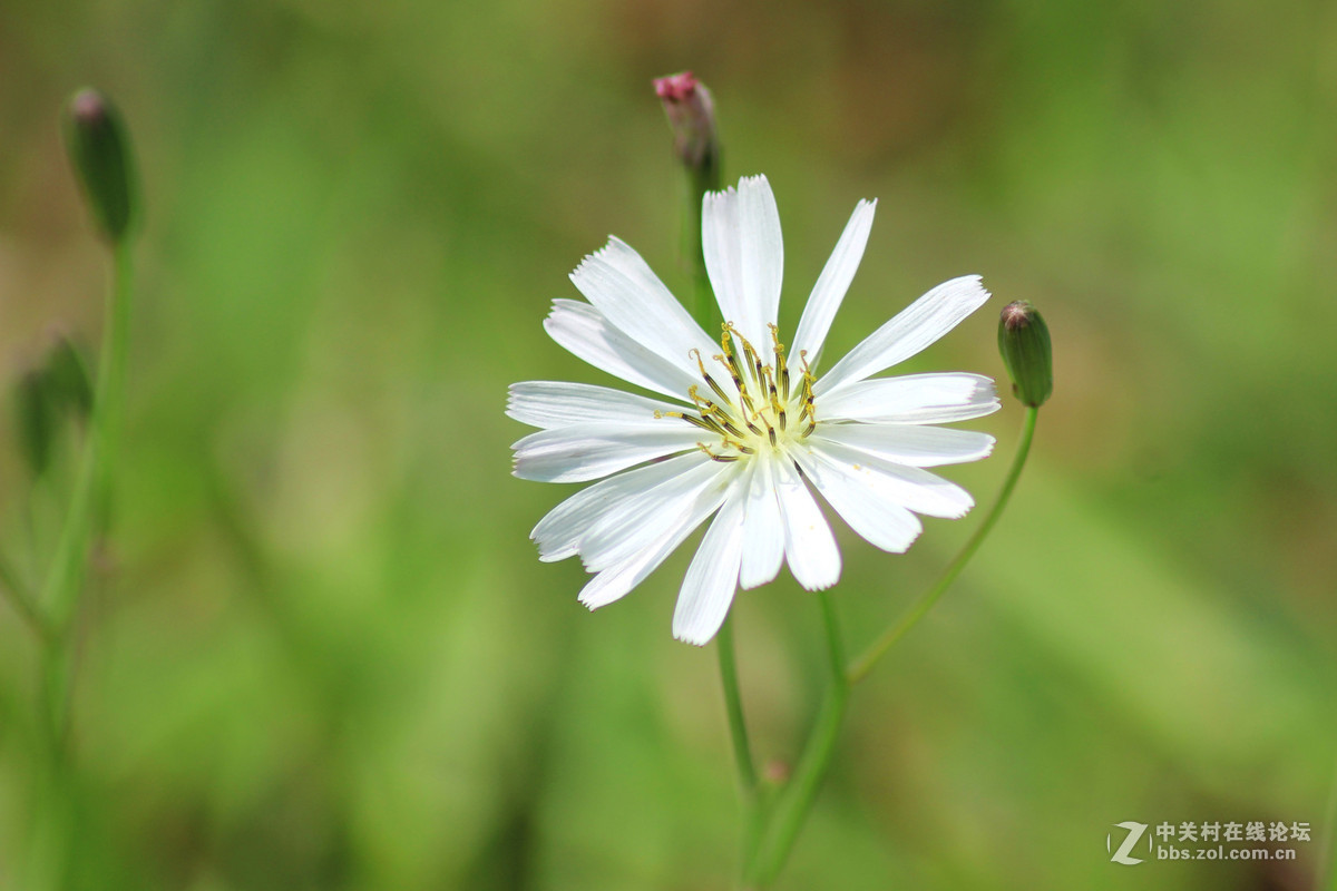 佳能600d+腾龙A17 试拍
