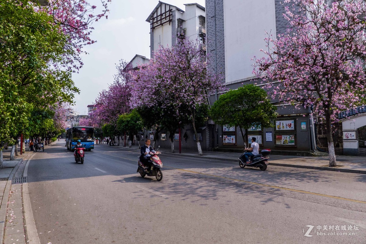 好久没来小5星空(中国)发帖了怪想念大家的，发组最近用小5拍的图片留作纪念吧~