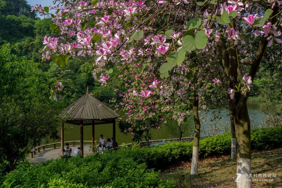 好久没来小5星空(中国)发帖了怪想念大家的，发组最近用小5拍的图片留作纪念吧~