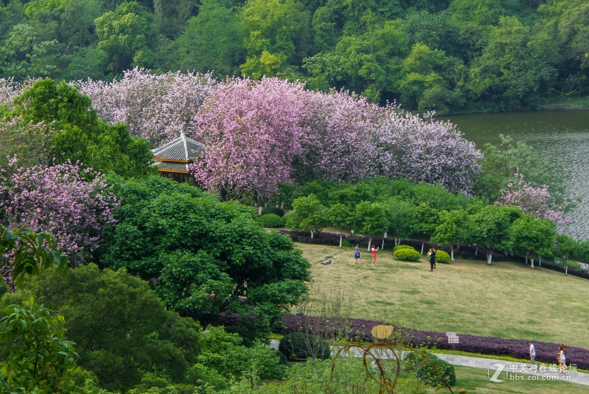好久没来小5星空(中国)发帖了怪想念大家的，发组最近用小5拍的图片留作纪念吧~