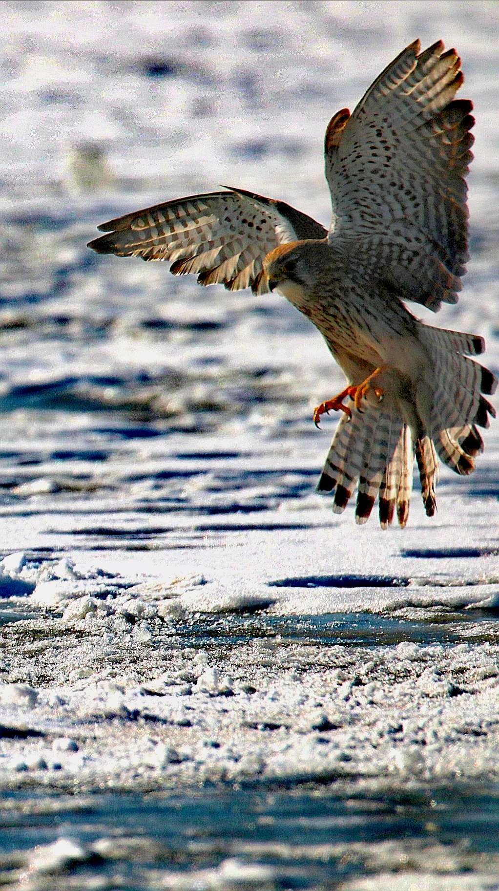 在家没事整理下照片