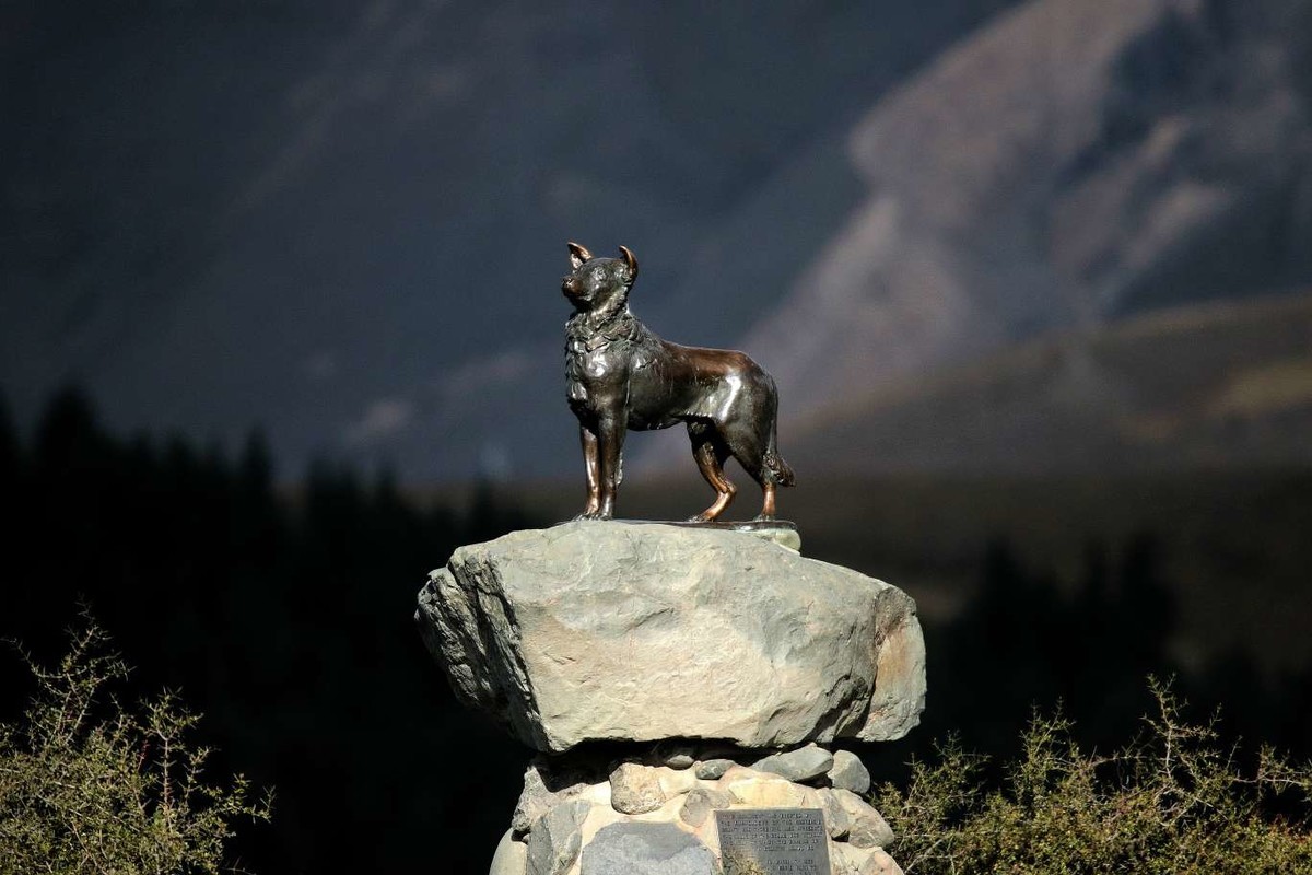 在家没事整理下照片