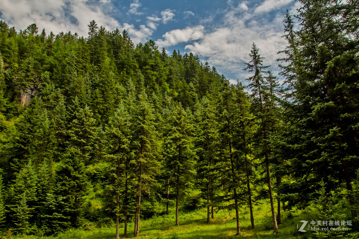 奇景 悬棺！！！