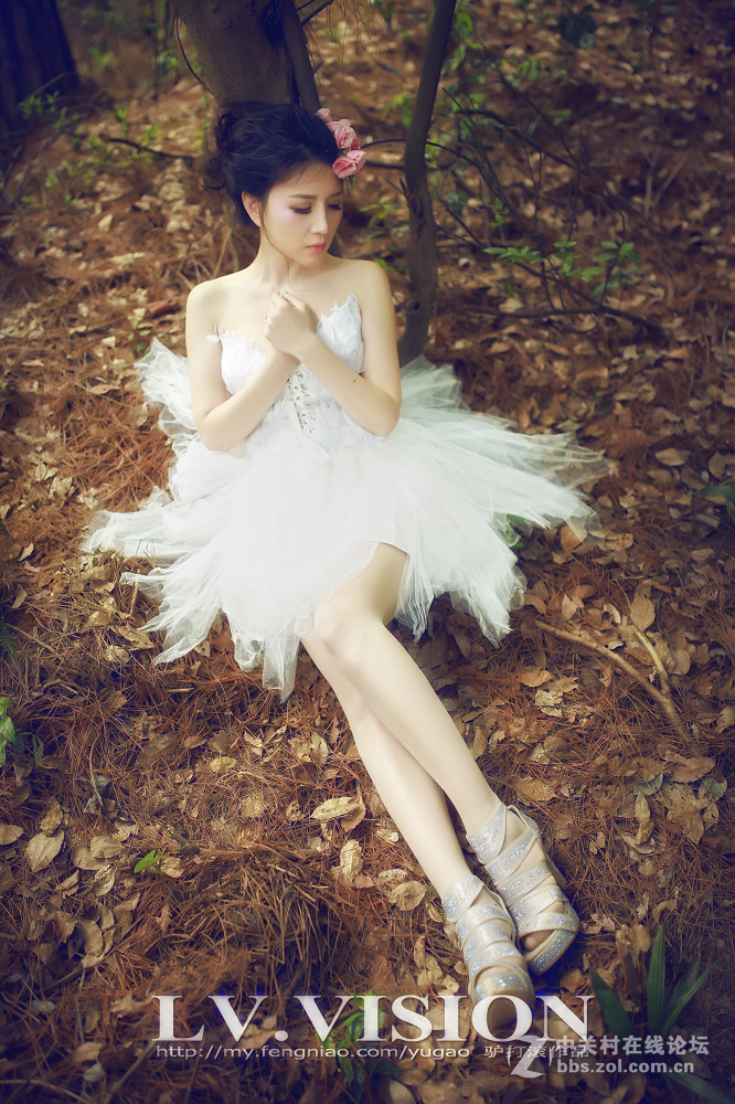 《LV 作品》..........安徒生的森林