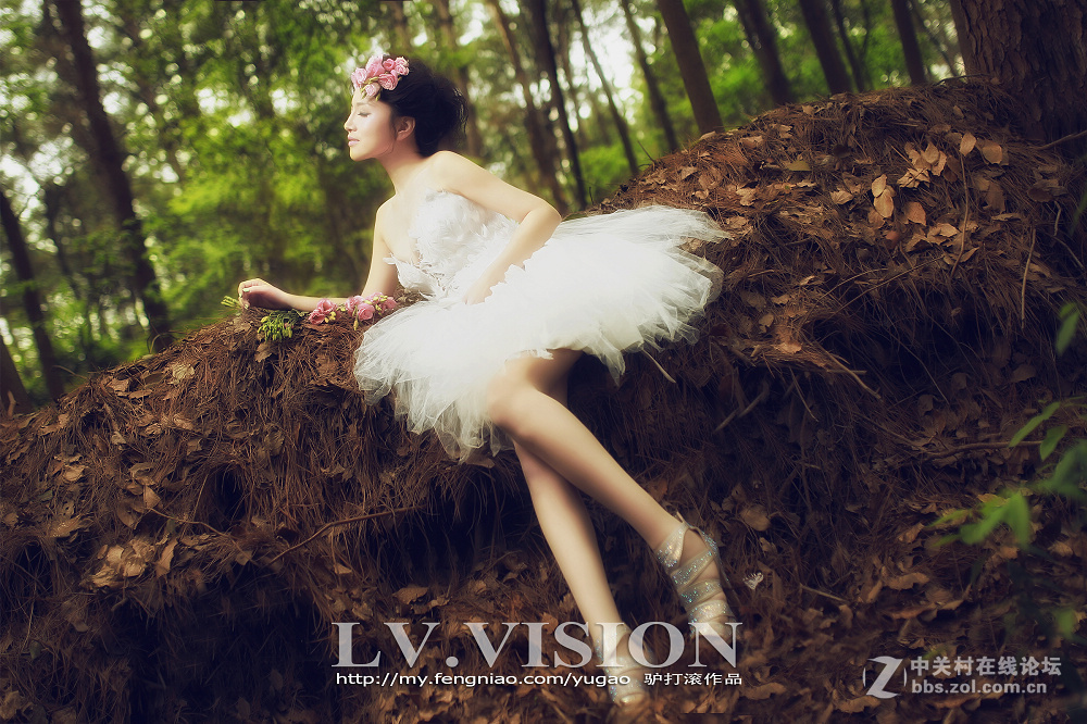 《LV 作品》..........安徒生的森林