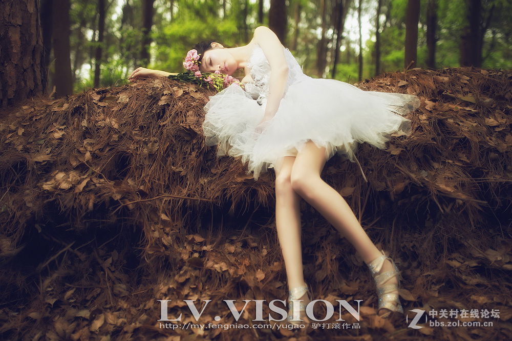 《LV 作品》..........安徒生的森林