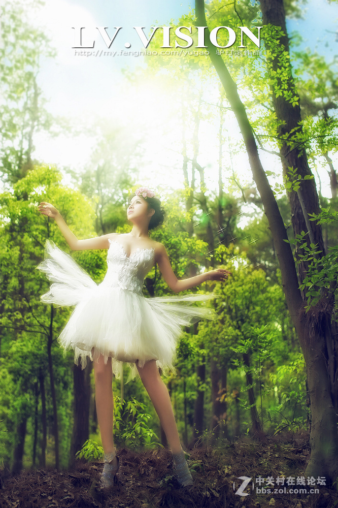 《LV 作品》..........安徒生的森林