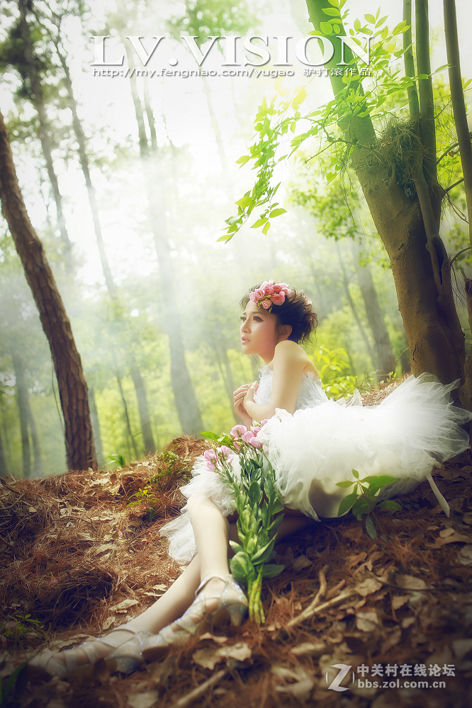 《LV 作品》..........安徒生的森林