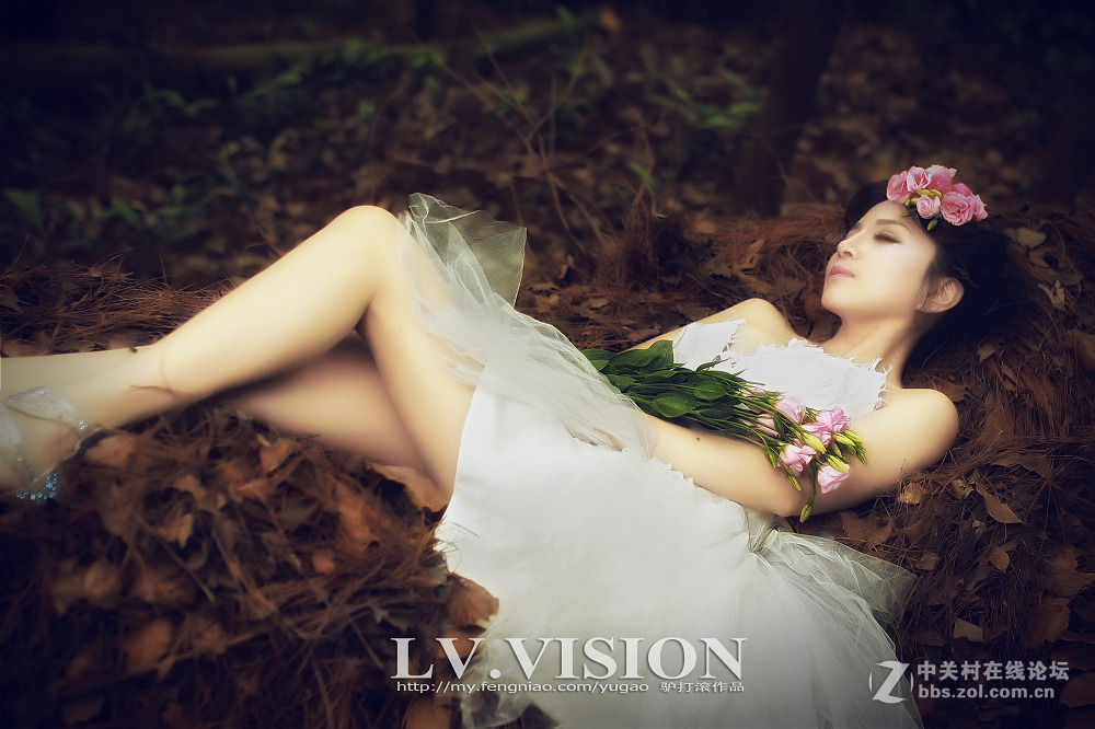 《LV 作品》..........安徒生的森林